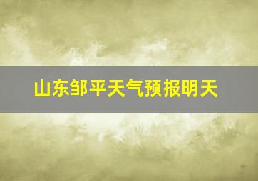 山东邹平天气预报明天