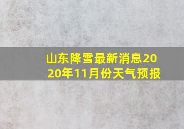 山东降雪最新消息2020年11月份天气预报