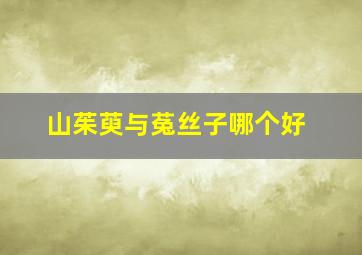 山茱萸与菟丝子哪个好