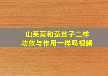 山茱萸和菟丝子二样功效与作用一样吗视频