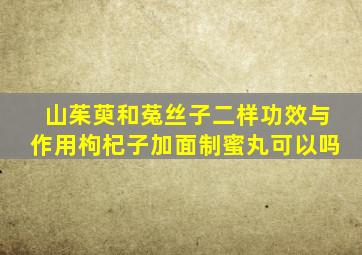 山茱萸和菟丝子二样功效与作用枸杞子加面制蜜丸可以吗