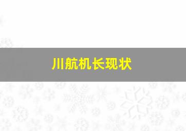 川航机长现状