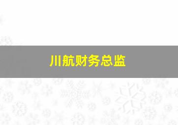 川航财务总监