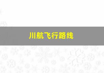 川航飞行路线