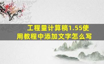 工程量计算稿1.55使用教程中添加文字怎么写