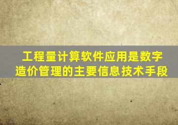 工程量计算软件应用是数字造价管理的主要信息技术手段