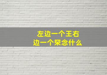 左边一个王右边一个罙念什么