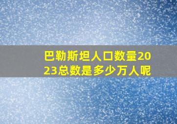 巴勒斯坦人口数量2023总数是多少万人呢