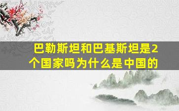 巴勒斯坦和巴基斯坦是2个国家吗为什么是中国的