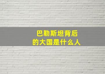 巴勒斯坦背后的大国是什么人