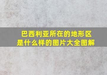 巴西利亚所在的地形区是什么样的图片大全图解