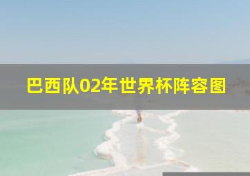 巴西队02年世界杯阵容图