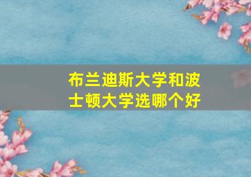 布兰迪斯大学和波士顿大学选哪个好