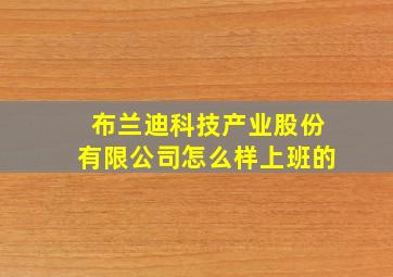 布兰迪科技产业股份有限公司怎么样上班的