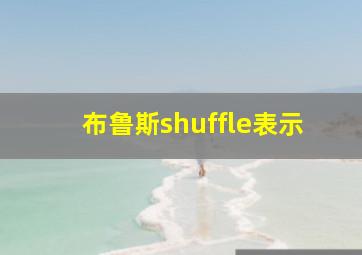 布鲁斯shuffle表示