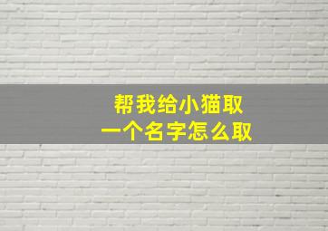 帮我给小猫取一个名字怎么取