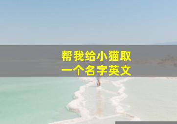 帮我给小猫取一个名字英文