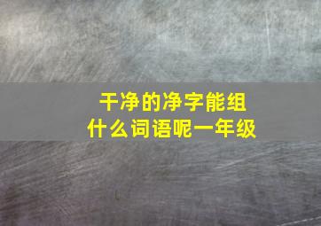 干净的净字能组什么词语呢一年级