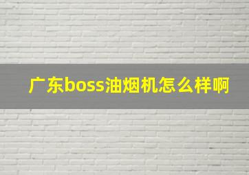 广东boss油烟机怎么样啊