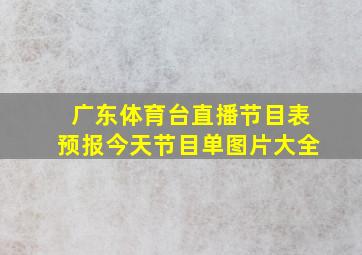 广东体育台直播节目表预报今天节目单图片大全