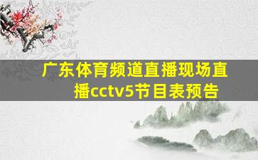 广东体育频道直播现场直播cctv5节目表预告