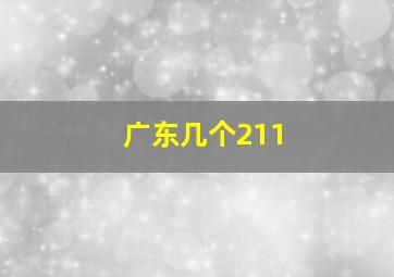 广东几个211