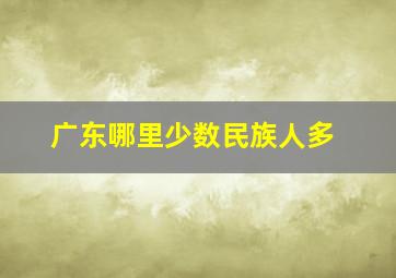 广东哪里少数民族人多