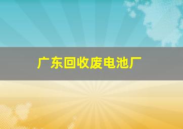 广东回收废电池厂