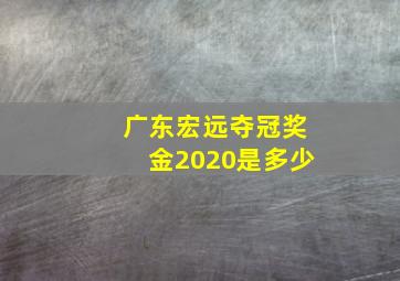 广东宏远夺冠奖金2020是多少