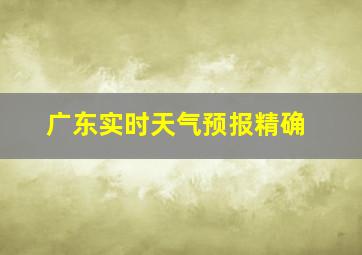 广东实时天气预报精确