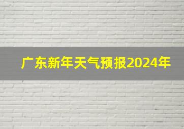 广东新年天气预报2024年