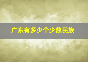 广东有多少个少数民族