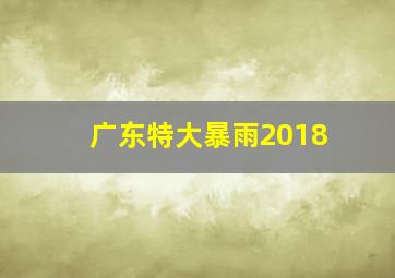 广东特大暴雨2018