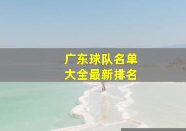 广东球队名单大全最新排名