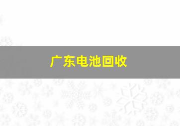 广东电池回收