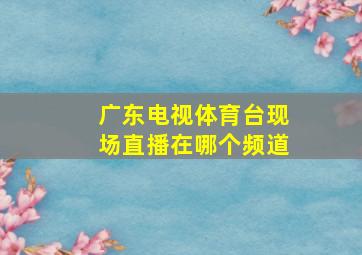 广东电视体育台现场直播在哪个频道