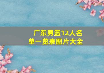 广东男篮12人名单一览表图片大全