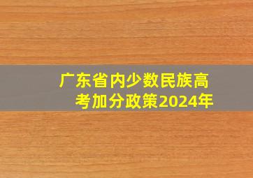 广东省内少数民族高考加分政策2024年