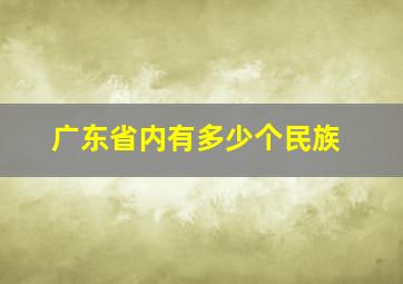 广东省内有多少个民族