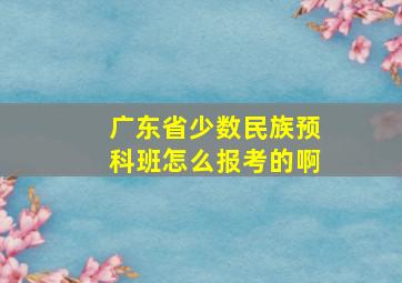 广东省少数民族预科班怎么报考的啊