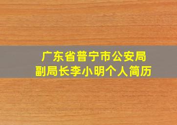 广东省普宁市公安局副局长李小明个人简历