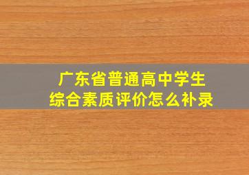 广东省普通高中学生综合素质评价怎么补录