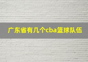 广东省有几个cba篮球队伍