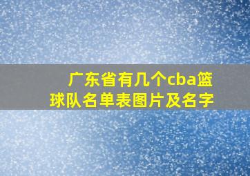 广东省有几个cba篮球队名单表图片及名字