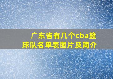 广东省有几个cba篮球队名单表图片及简介