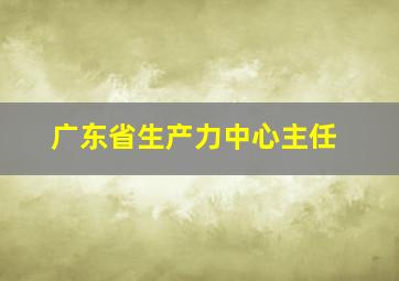 广东省生产力中心主任