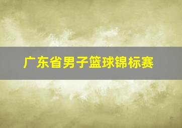 广东省男子篮球锦标赛