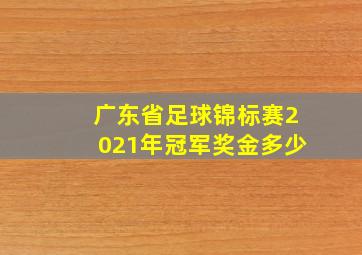 广东省足球锦标赛2021年冠军奖金多少