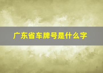 广东省车牌号是什么字