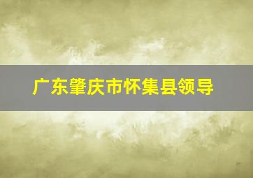 广东肇庆市怀集县领导